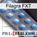 Filagra FXT viagra3